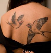 Swallows tattoo on back