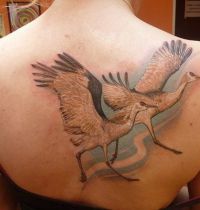 Two white birds tattoo