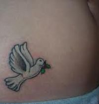 White dove with stem as tattoo