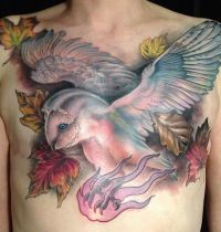 White owl as chest tattoo