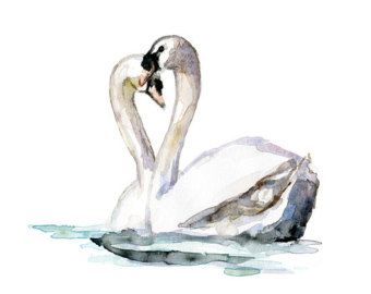 Two swans tattoo design