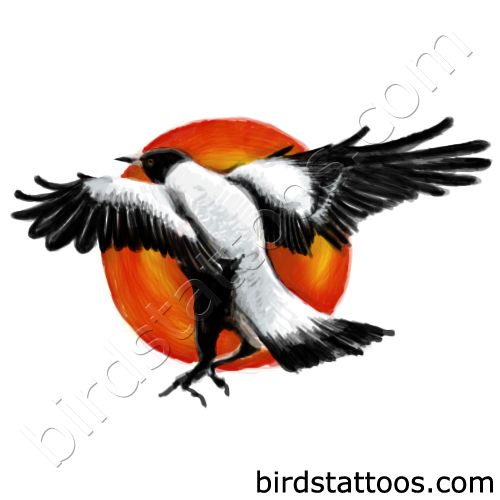 Black and white magpie tattoo design