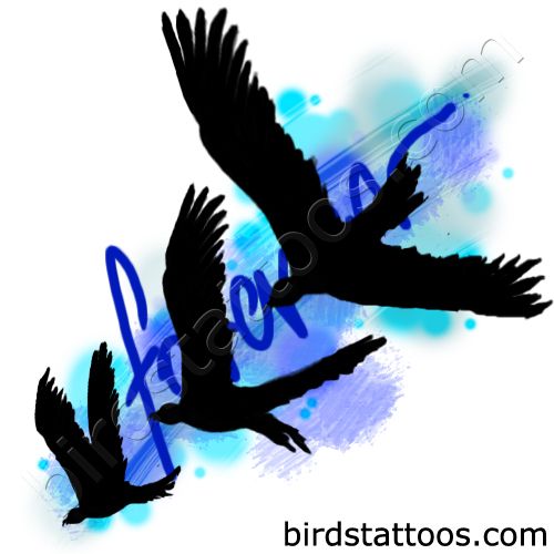 Black doves tattoo