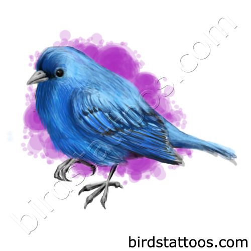 Bluebird tattoo on purple background