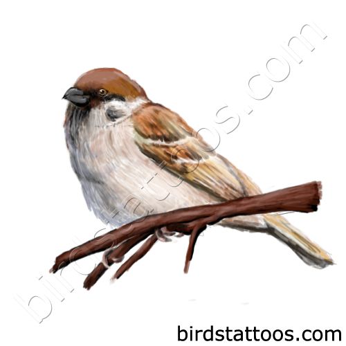 Tattoo with brown sparrow on the branch