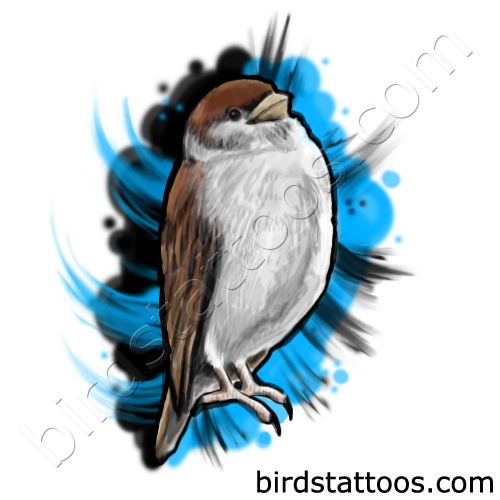Sparrow on black and blue background