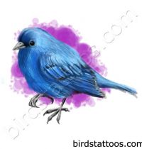 Bluebird tattoo on purple background
