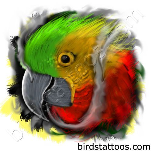 Three colours of parrot head
